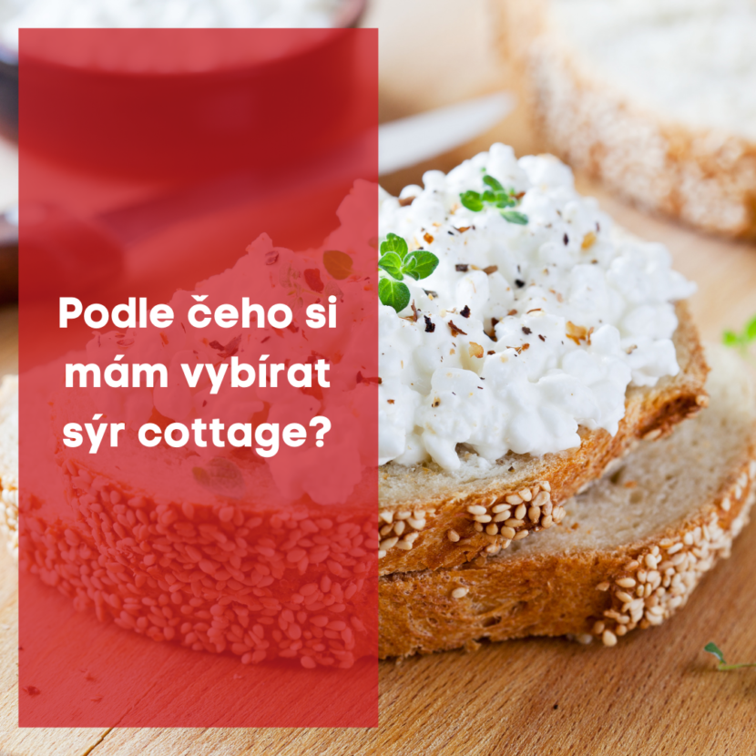 Podle čeho si mám vybrat sýr cottage?