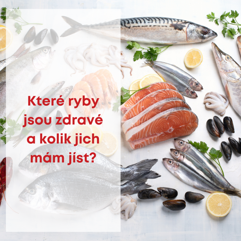 Které ryby jsou zdravé a kolik jich mám jíst