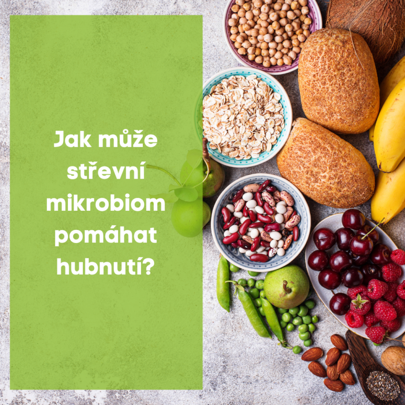 Jak může střevní mikrobiom pomáhat hubnutí ?