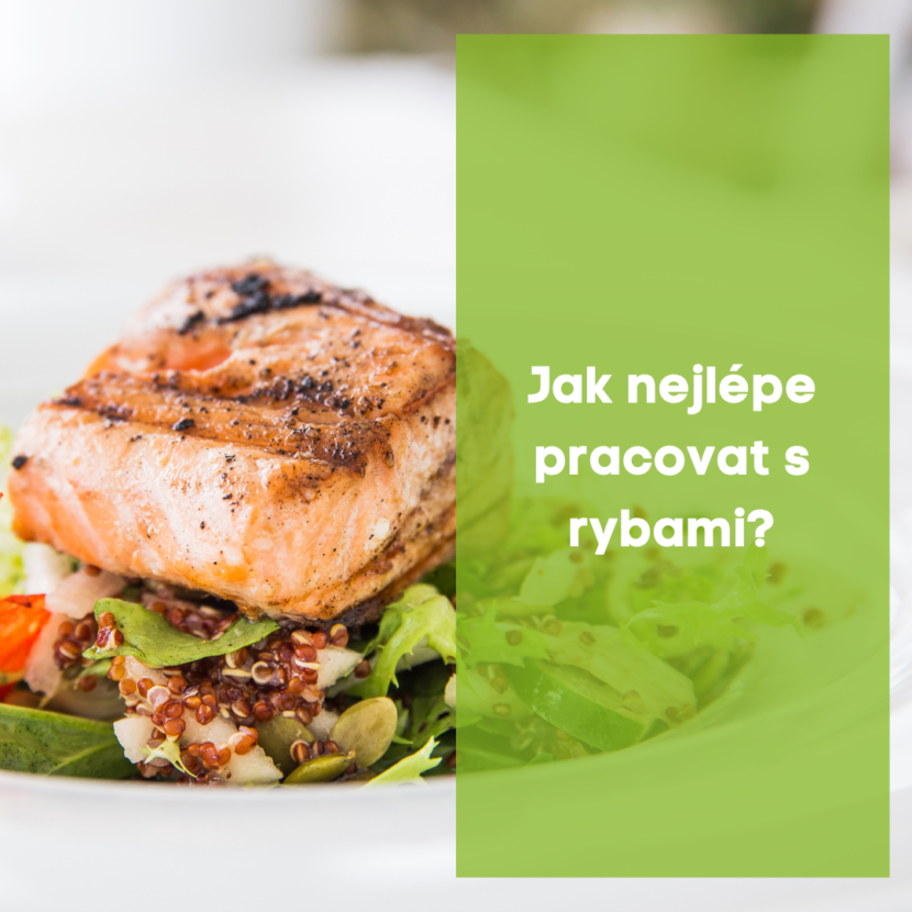 Jak nejlépe pracovat s rybami ?