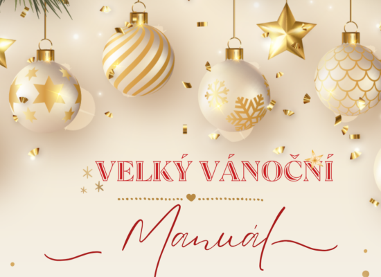Velký vánoční manuál